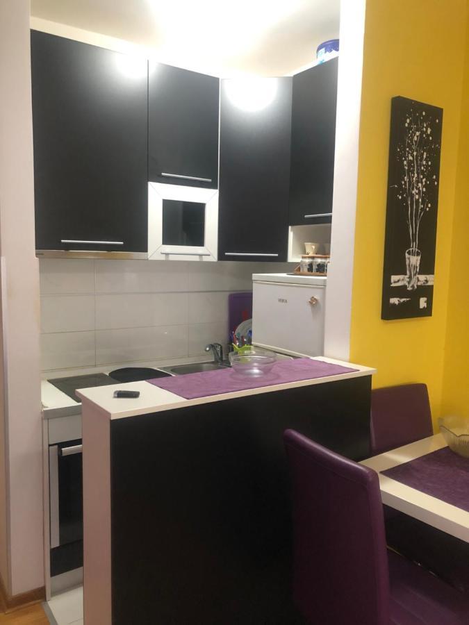 Apartman Tanjuska Подгорица Экстерьер фото